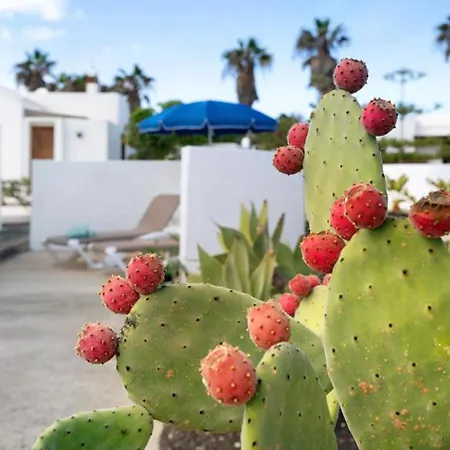 Casa Aloe By Blve Homes Casa de Férias *